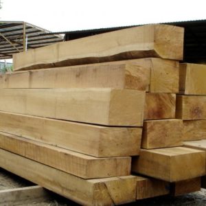 Gỗ Hộp - 001