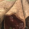 Gỗ cẩm _ Pao Rosa