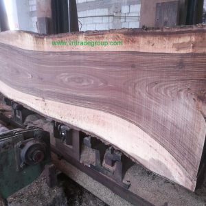 Gỗ  Óc chó - Walnut